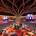 Free Form Timber Structures for Venlo Casino