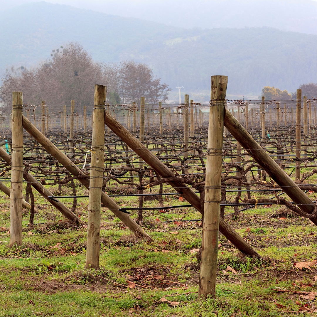 Postes y polines agrícolas