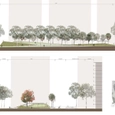 Landscape Design Software – Vectorworks Landmark