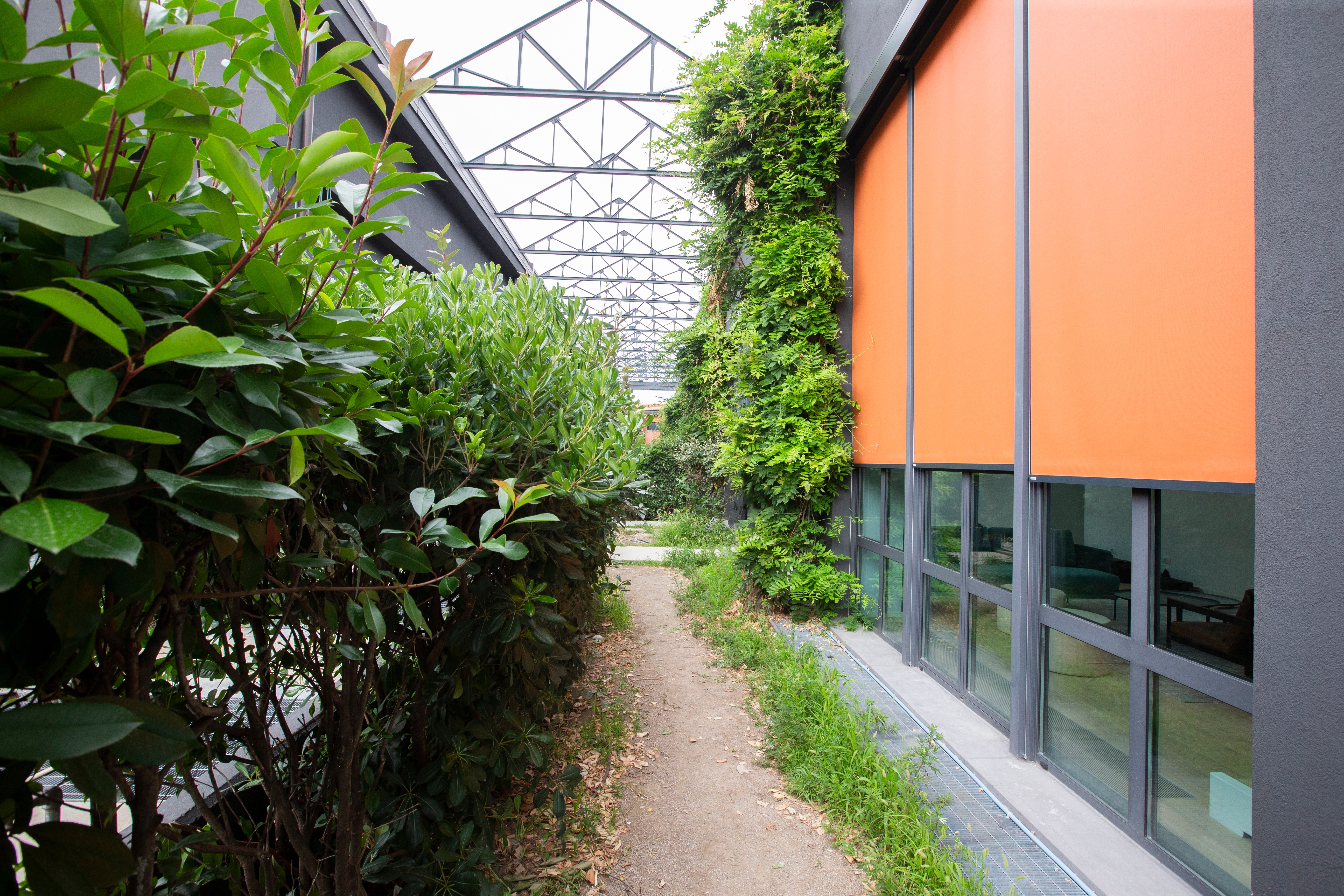 B-Box Roller Blinds in Loft Columella