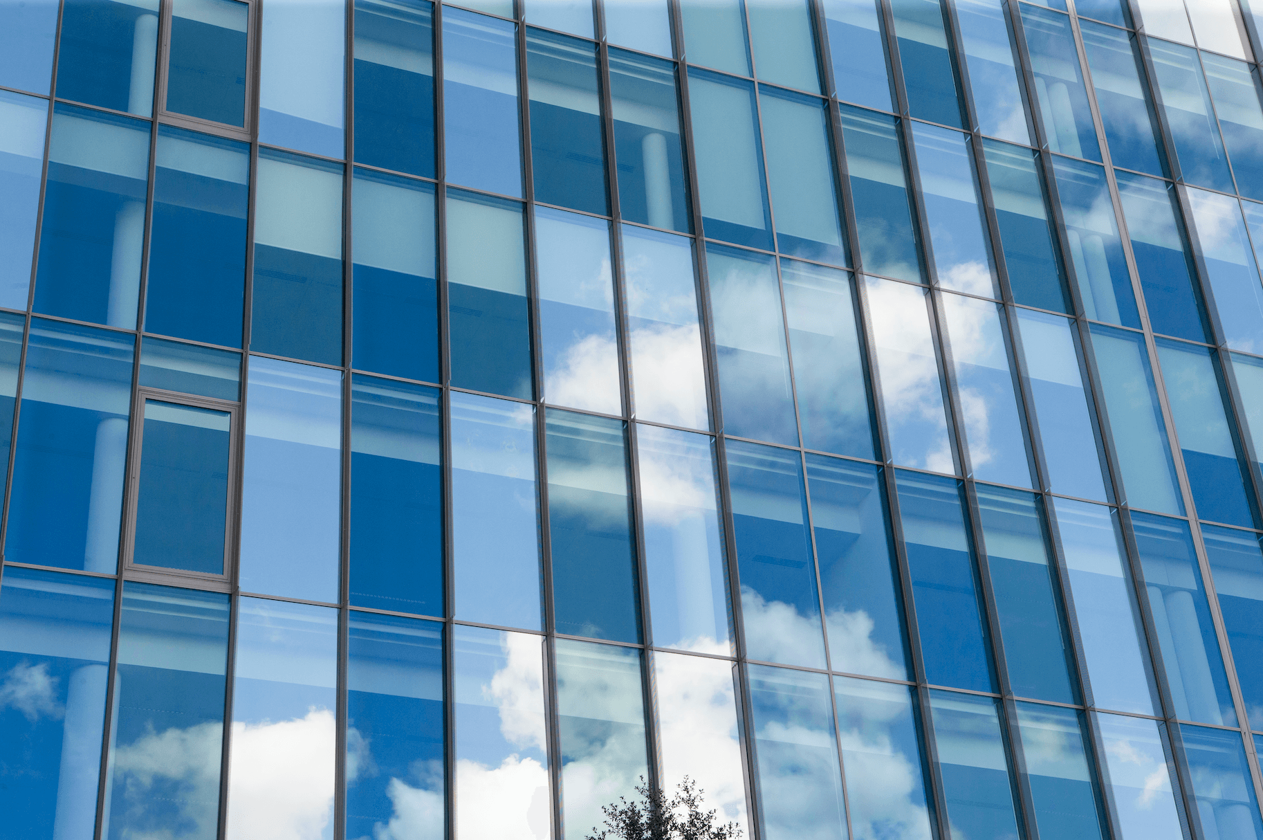 Premium Roller Shades in 8ÈME Art