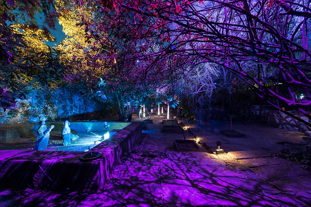 Lighting Design in Ortega Garden House