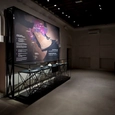 Display Cases in Al Shindagha Museum