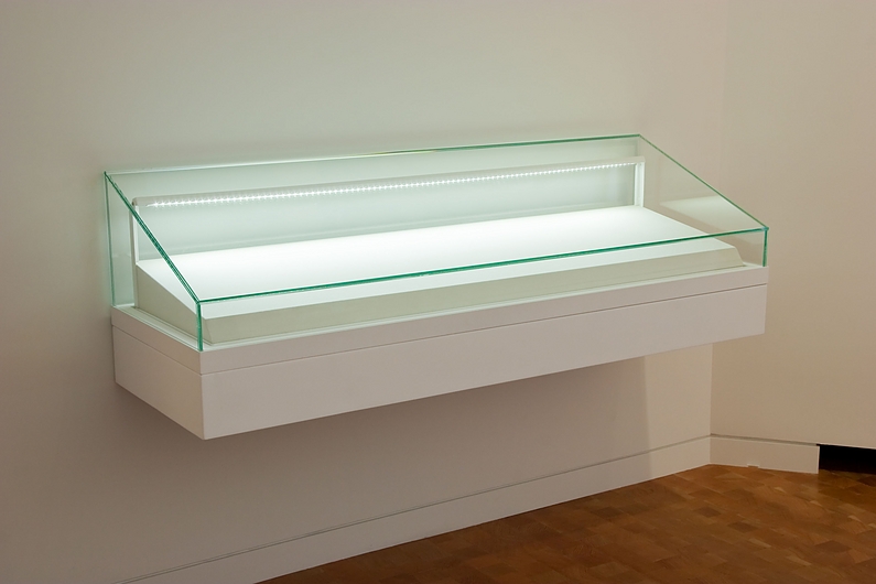 Wall hanging display case hot sale