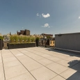 Skybox Skylights in Harlem City Home Rooftops