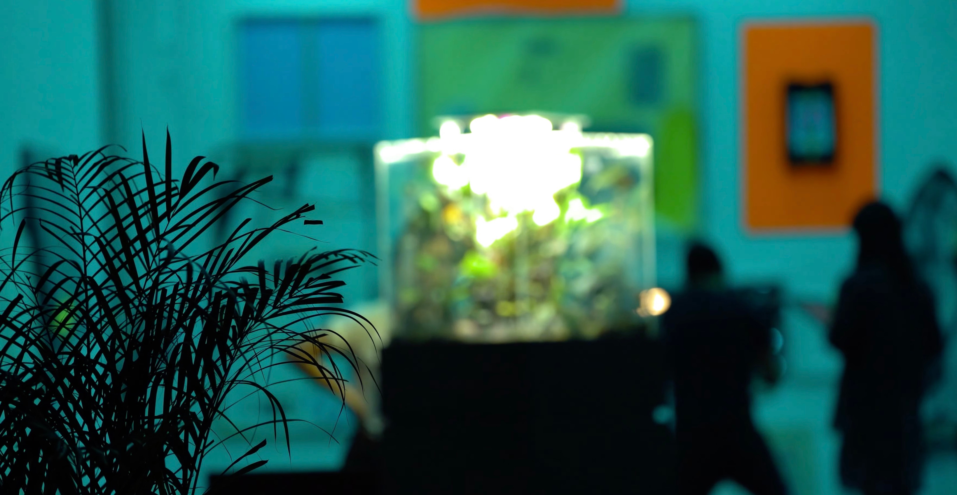 Customized Intelligent Lighting in LOOT