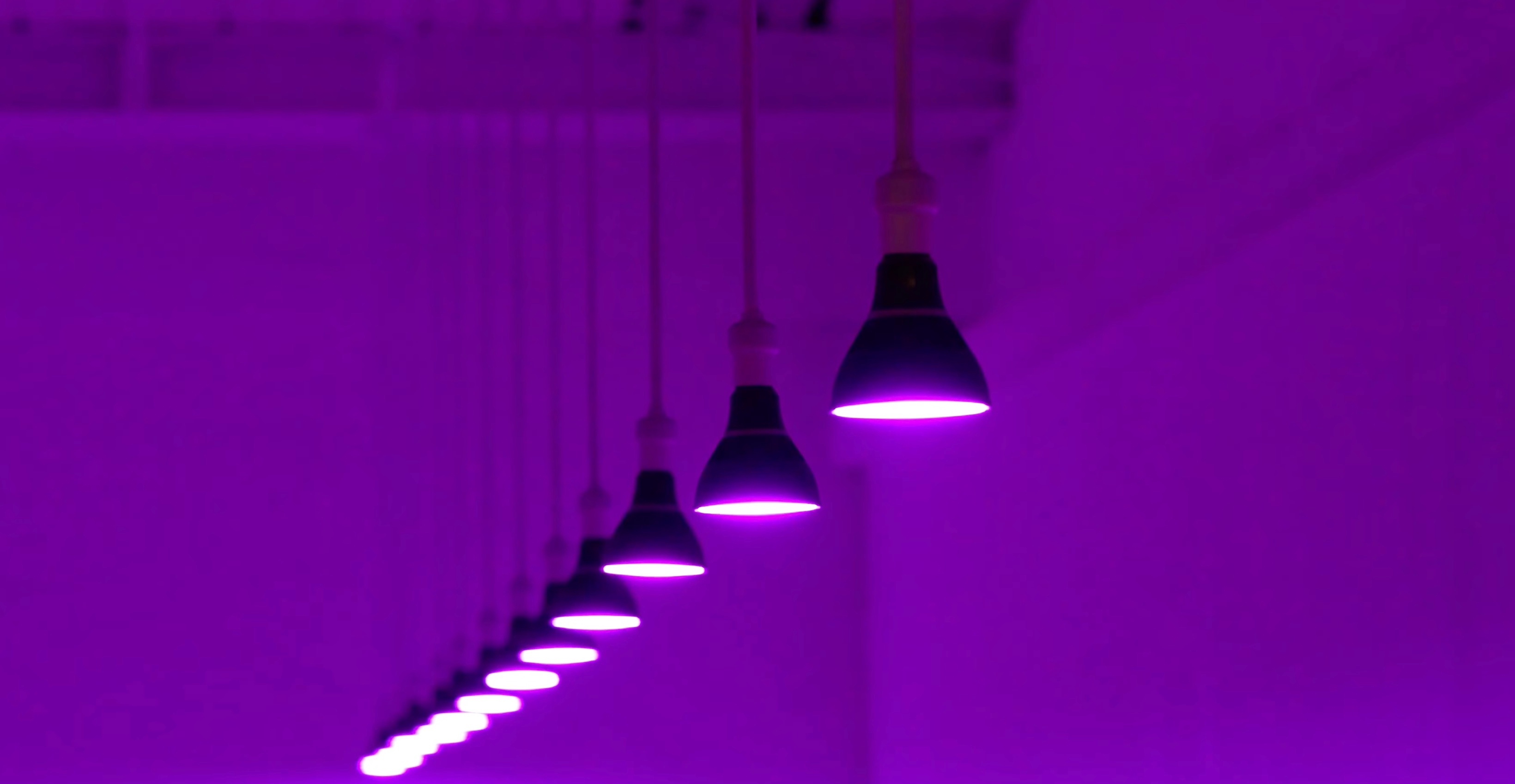 Customized Intelligent Lighting in LOOT