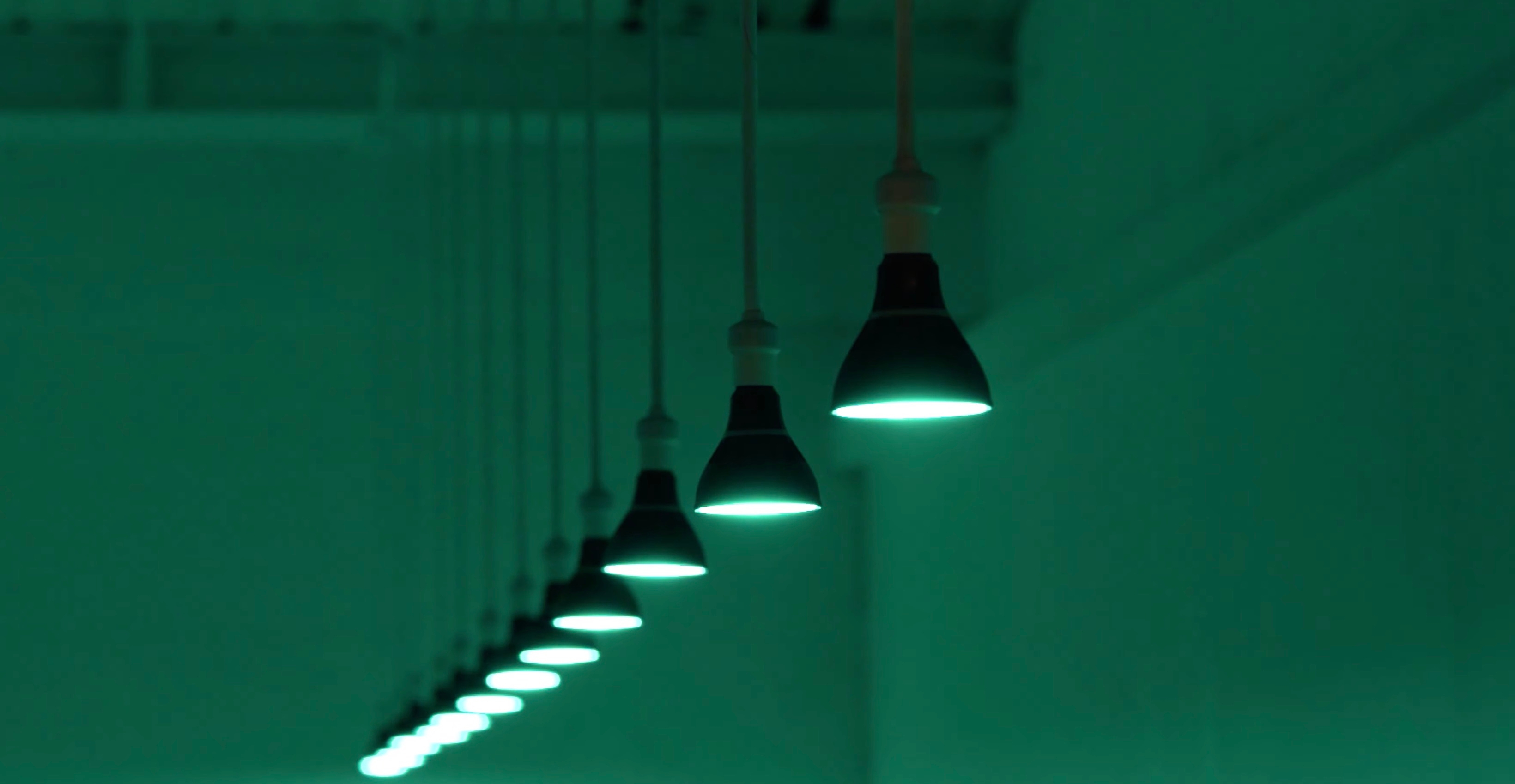 Customized Intelligent Lighting in LOOT