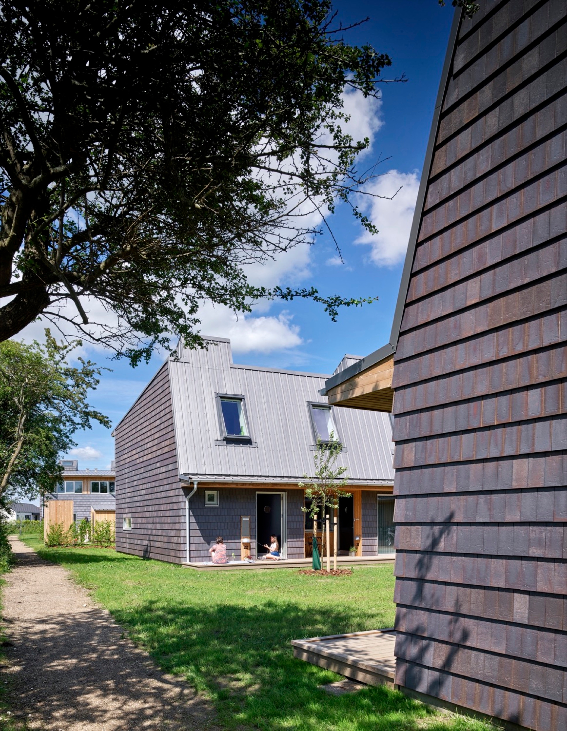 Roof Window in Thyme Garden Social Housing