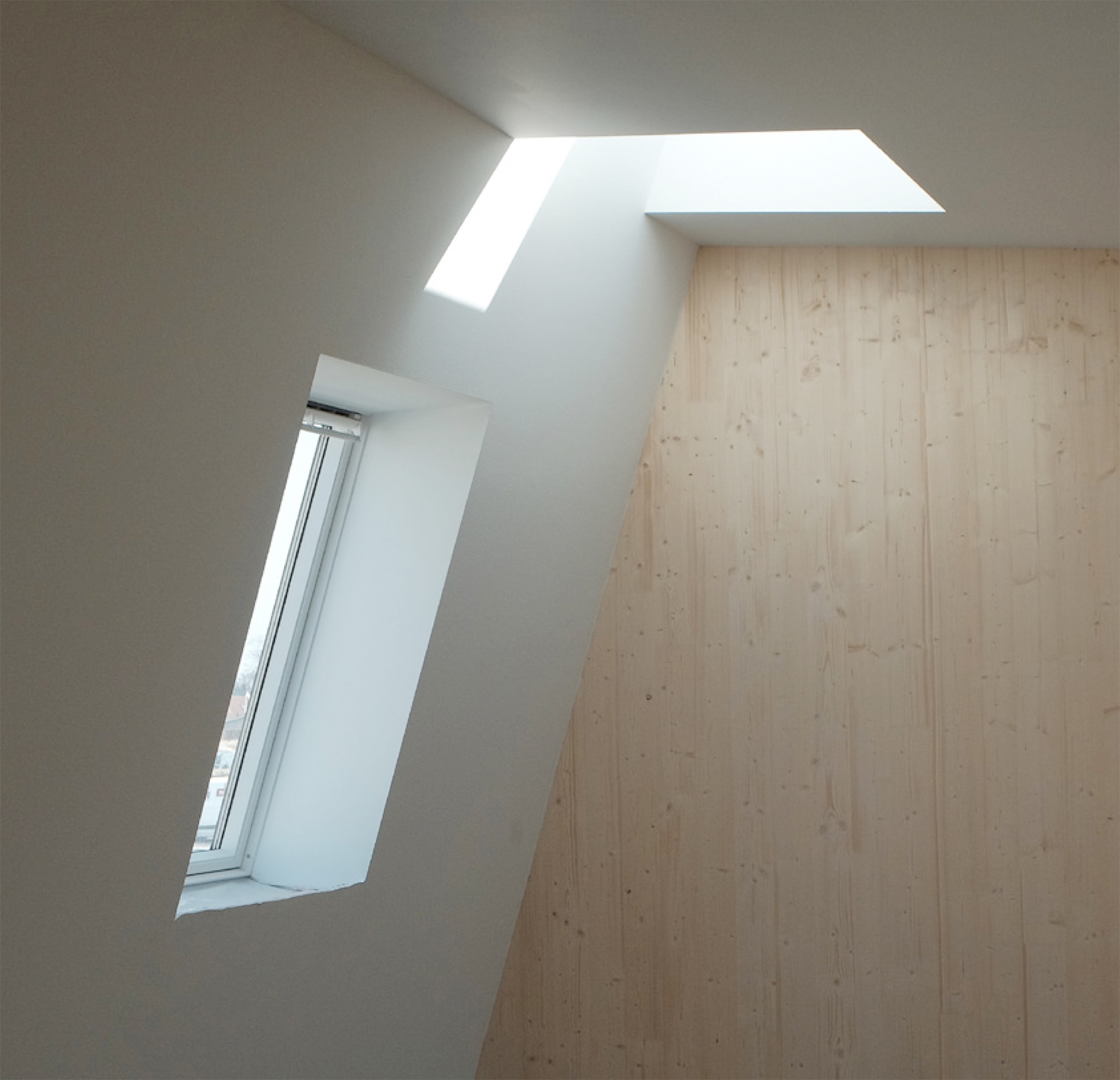 Roof Window in Thyme Garden Social Housing