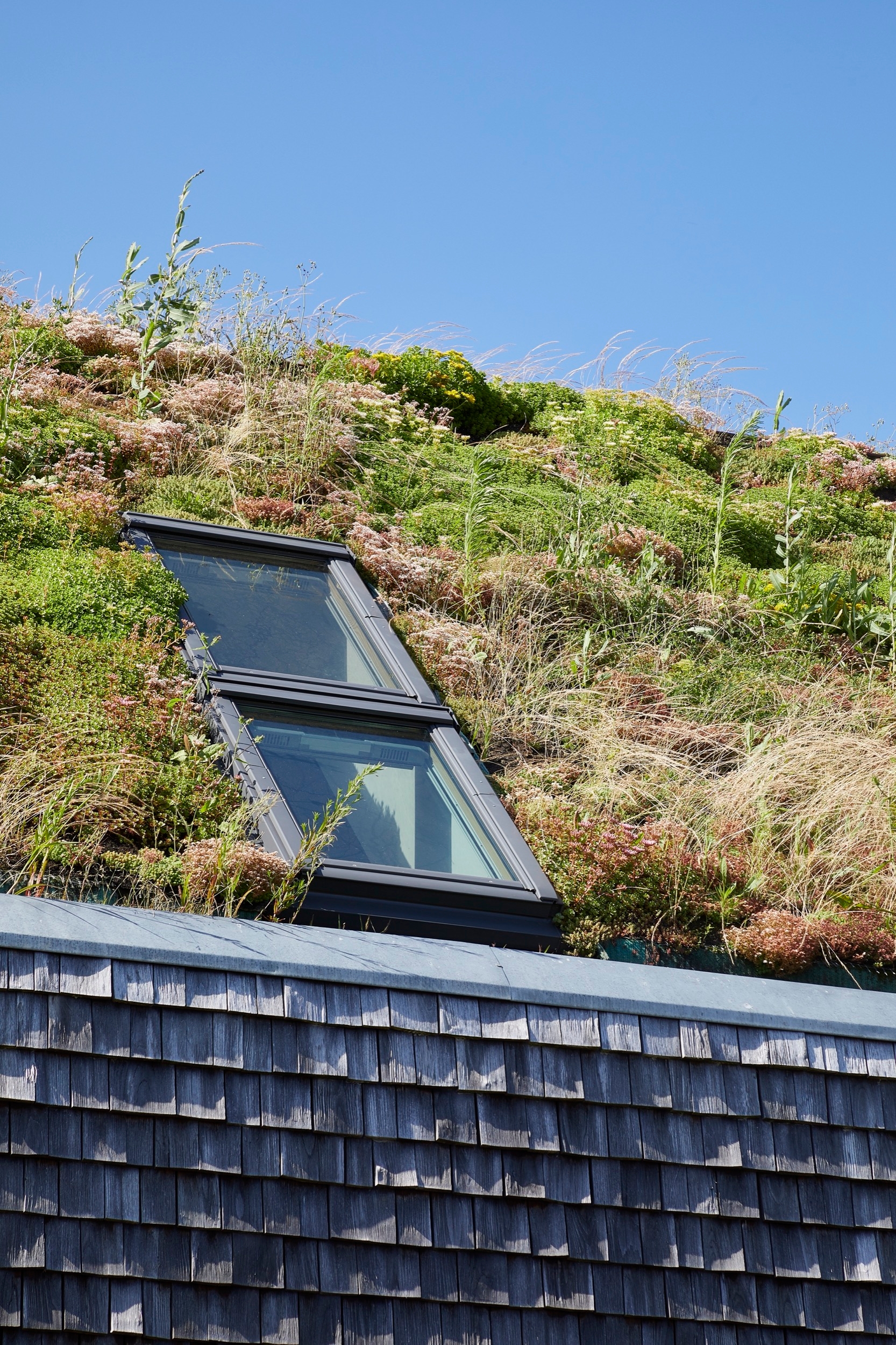 Roof Window in Cooperative Housing in France