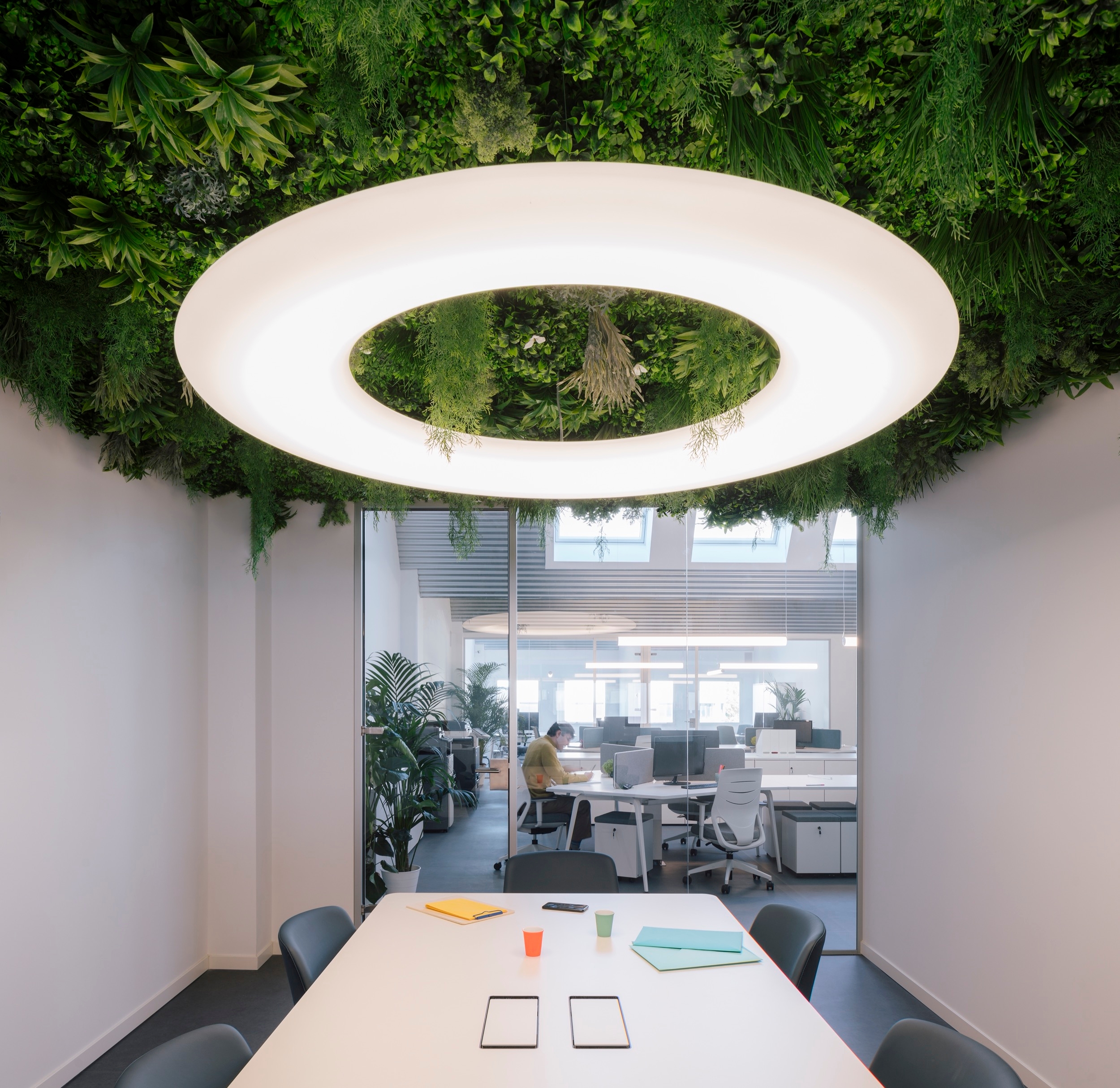 Roof Window in Mostoles Office