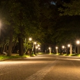 Iluminación Parque Chapultepec