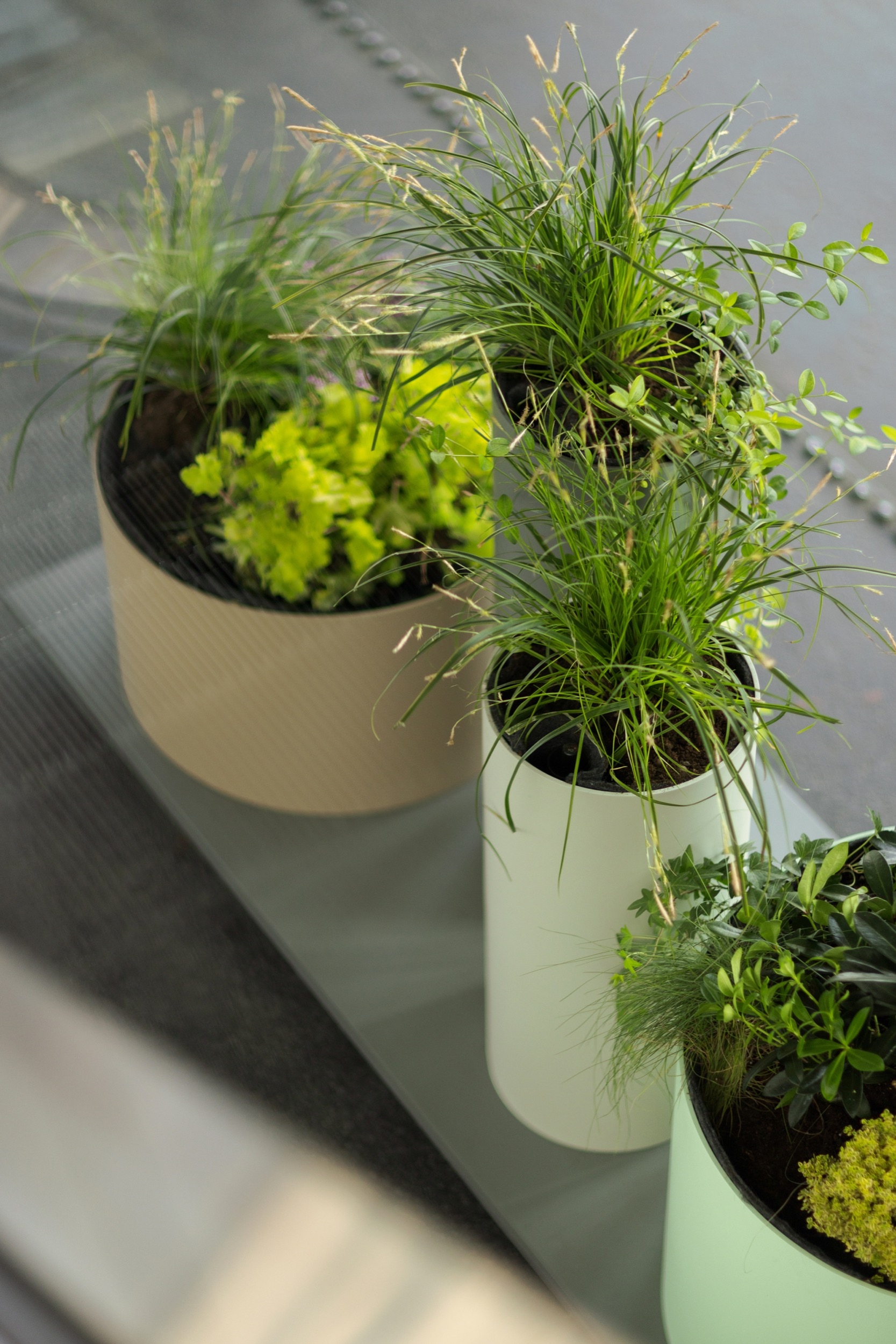 Modular Planters - Polys