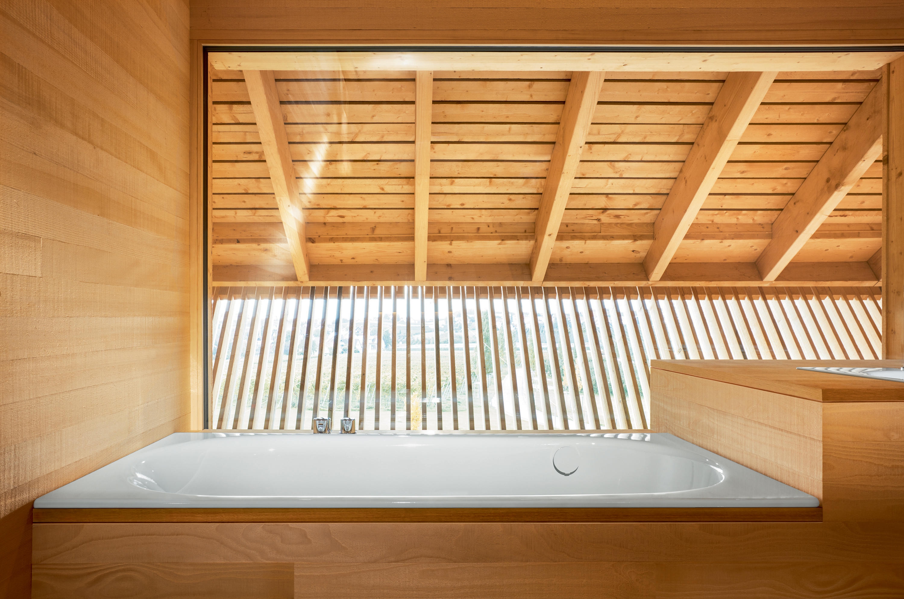 Bathtubs - BetteComodo