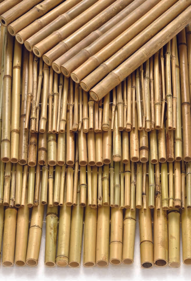 Natural Materials - Bamboos