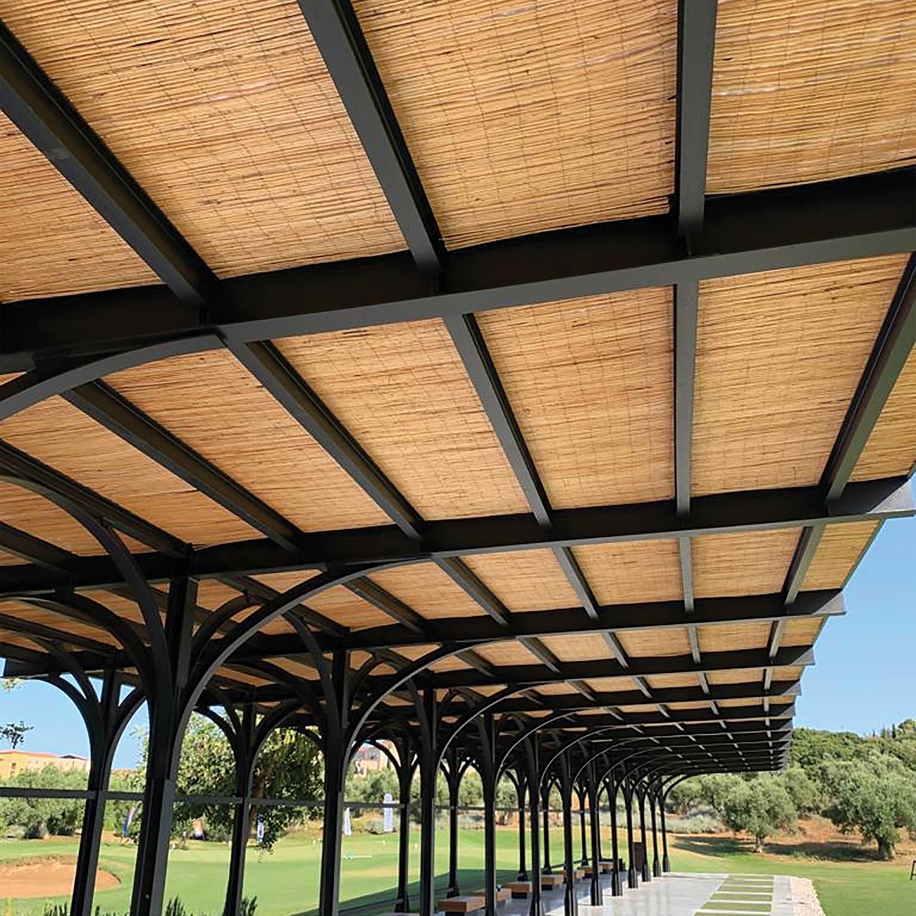 Natural and Peeled Willow