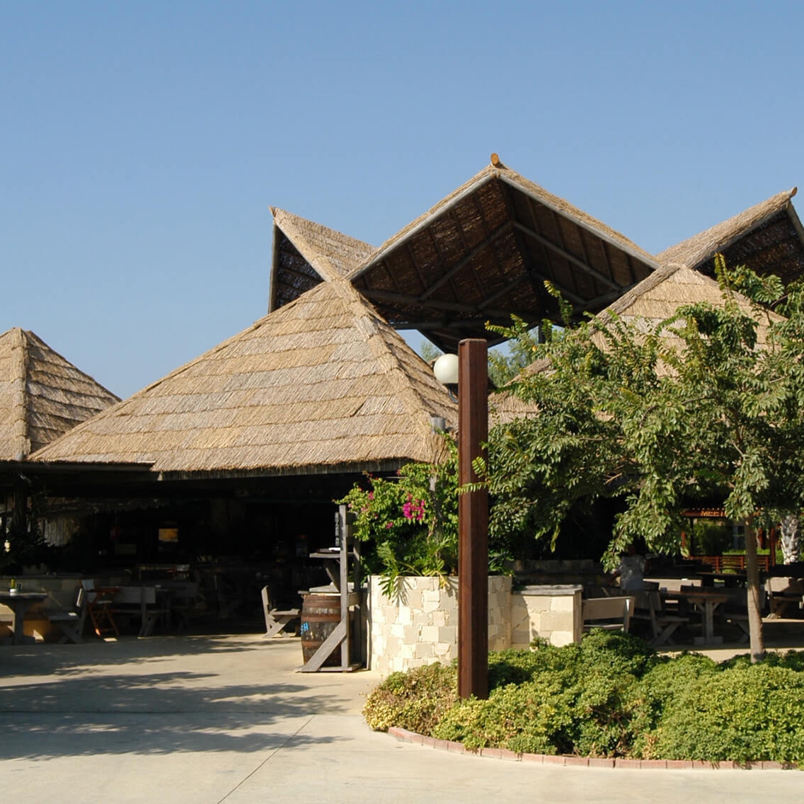 Natural Materials - Branches