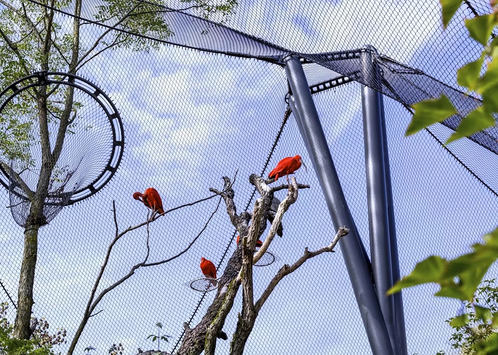 Webnet para recintos de animales