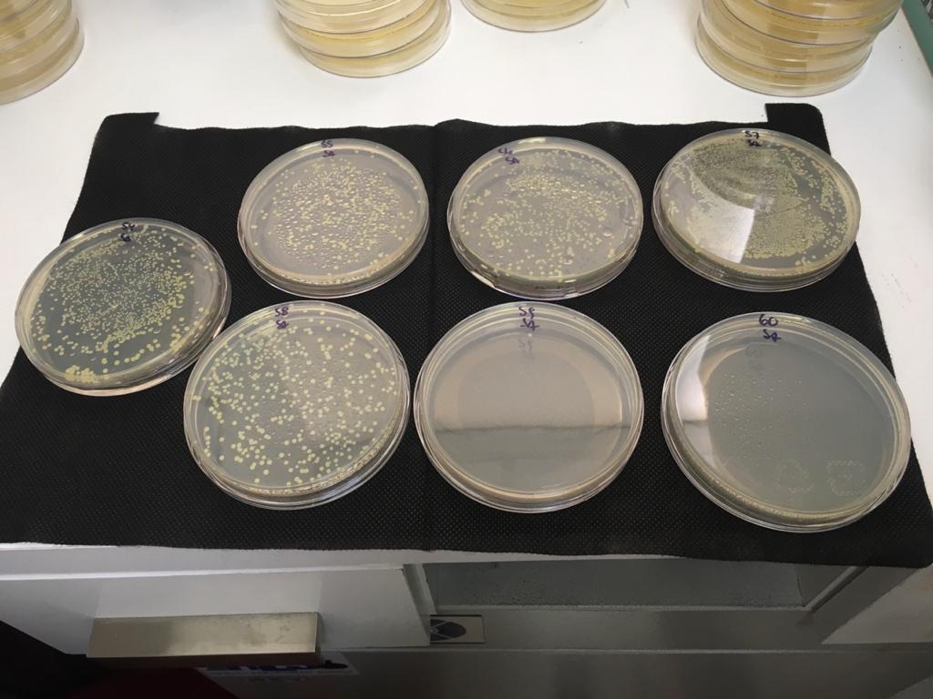 Hormigón con nanopartículas de cobre - Coppermix