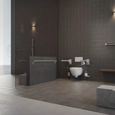 Bathroom Rails & Fittings - ErgoSystem® A100