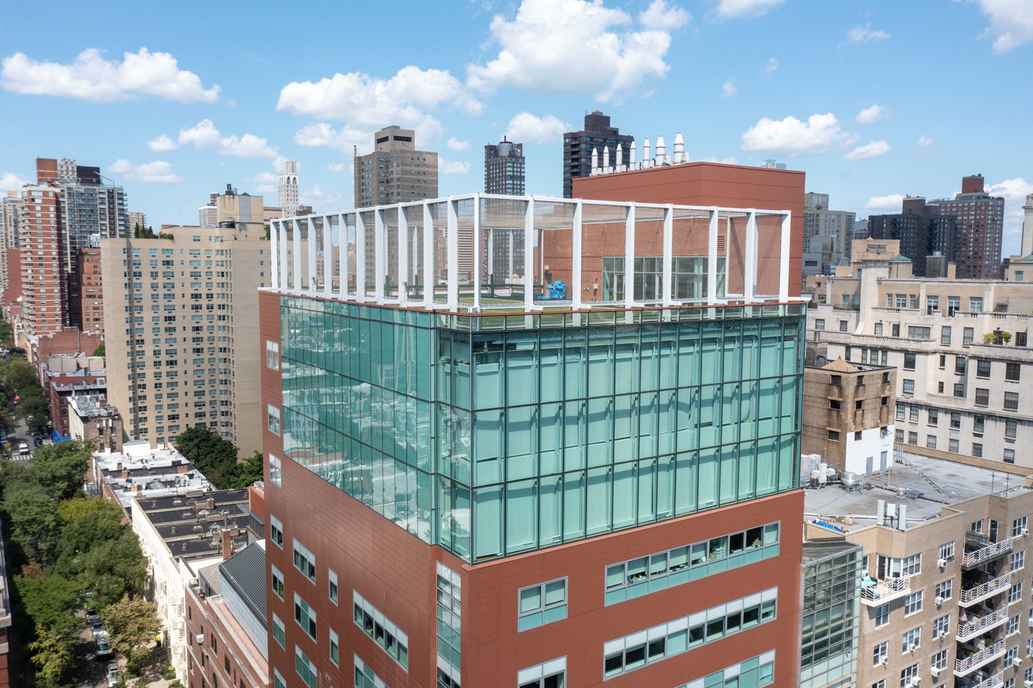 Wire Mesh in Chapin School