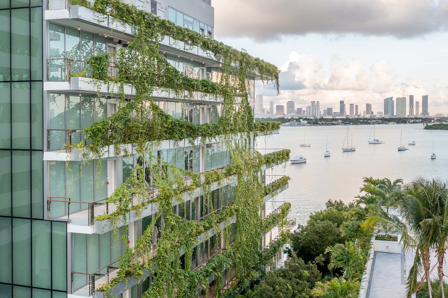 Wire Mesh and Cables in Monad Terrace