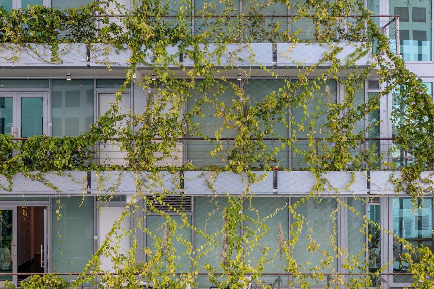 Wire Mesh and Cables in Monad Terrace