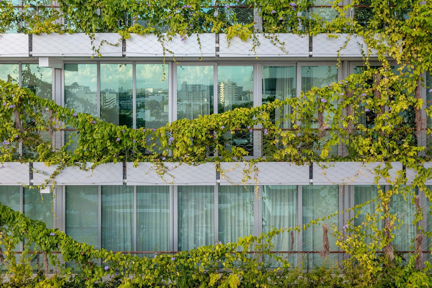 Wire Mesh and Cables in Monad Terrace