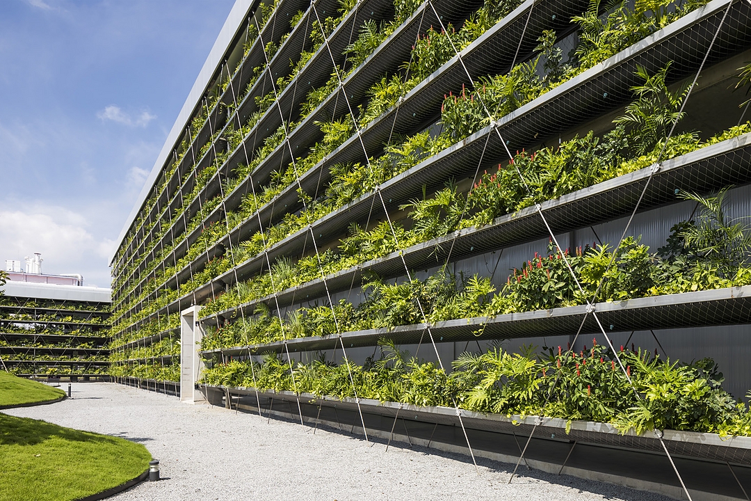Green Walls in Jakob Saigon Factory