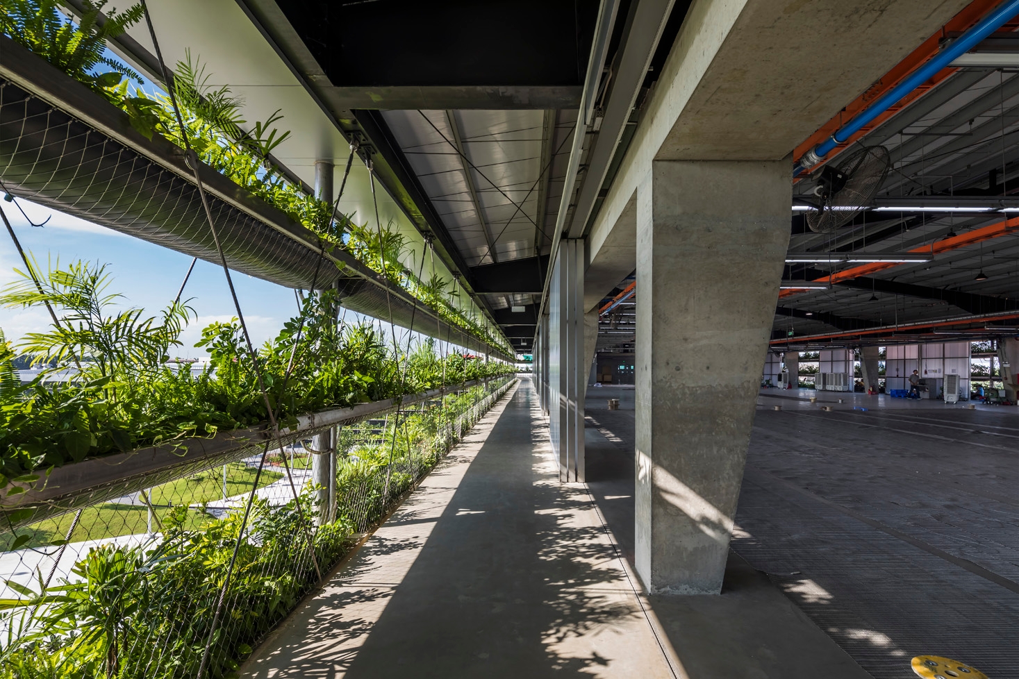 Green Walls in Jakob Saigon Factory