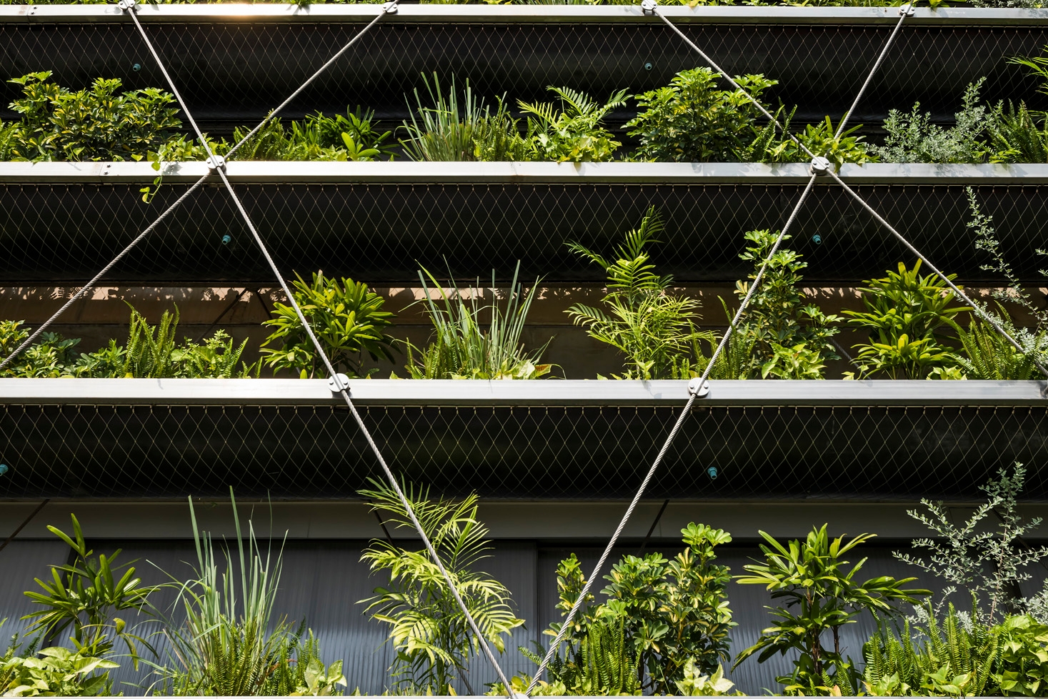 Green Walls in Jakob Saigon Factory