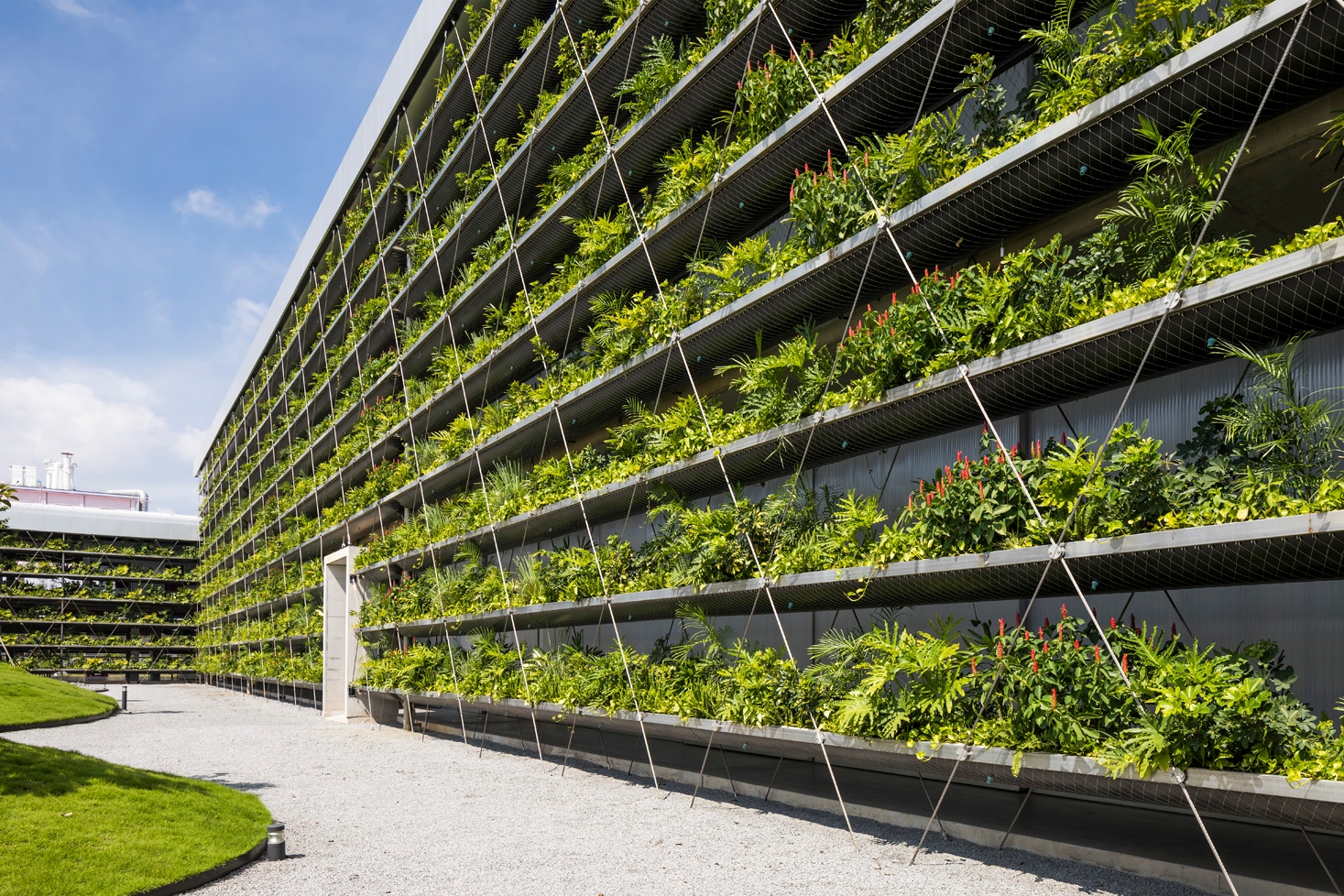 Six Ways a Greening Improves Architecture