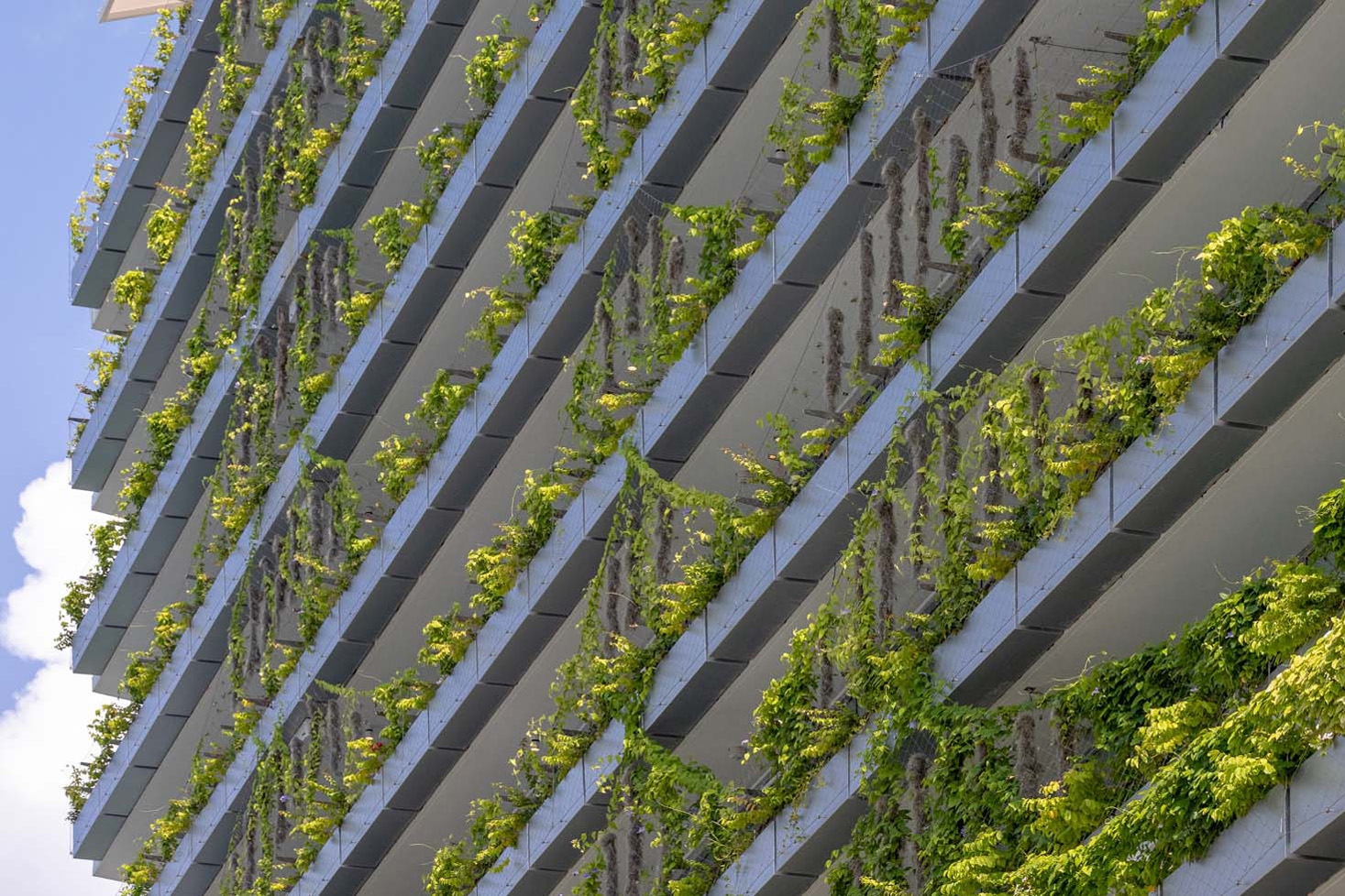 Six Ways a Greening Improves Architecture