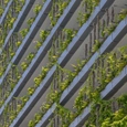 Six Ways a Greening Improves Architecture