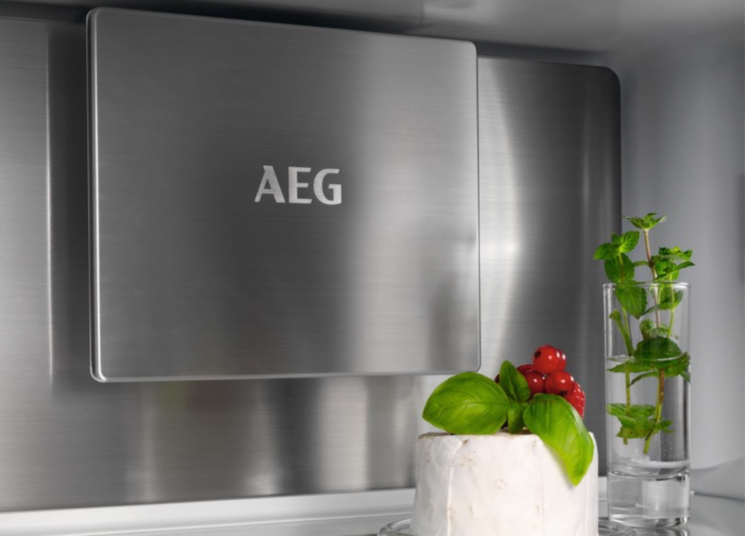 Kitchen Appliances - AEG Fridge Freezers
