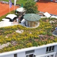 Tecnología ZinCo Andina para techos verdes