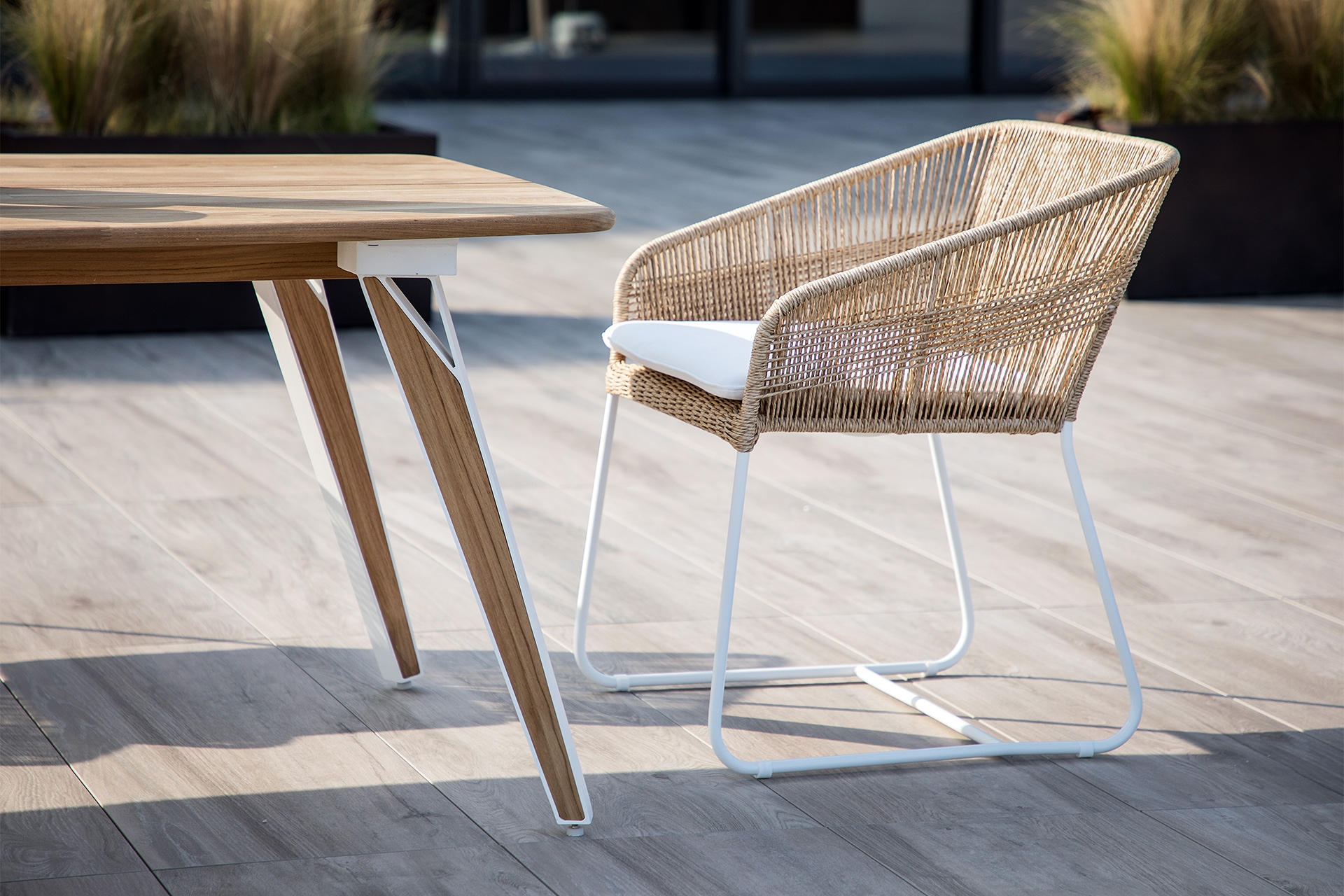 Dining Armchair - Miyako