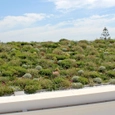 Sistemas ZinCo para techos verdes inclinados