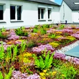 Sistemas ZinCo para techos verdes extensivos