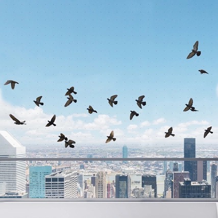 Laminated Glass - BirdSecure® Pro