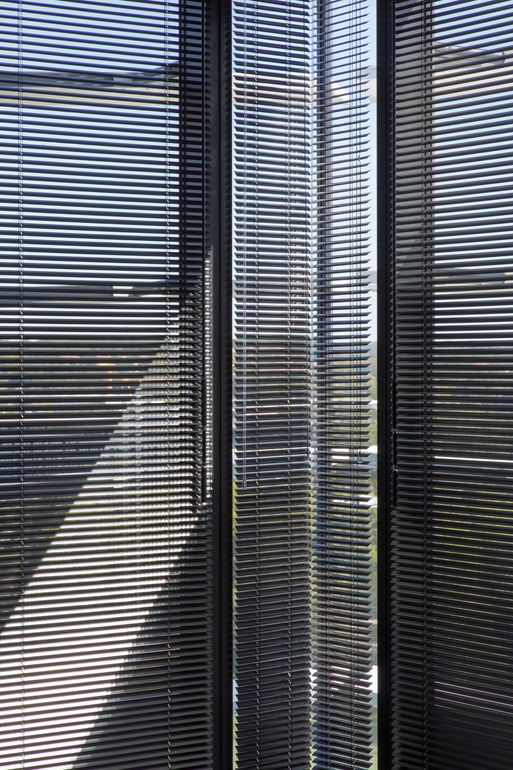 Aluminum Venetian Blinds in Thales Buildings