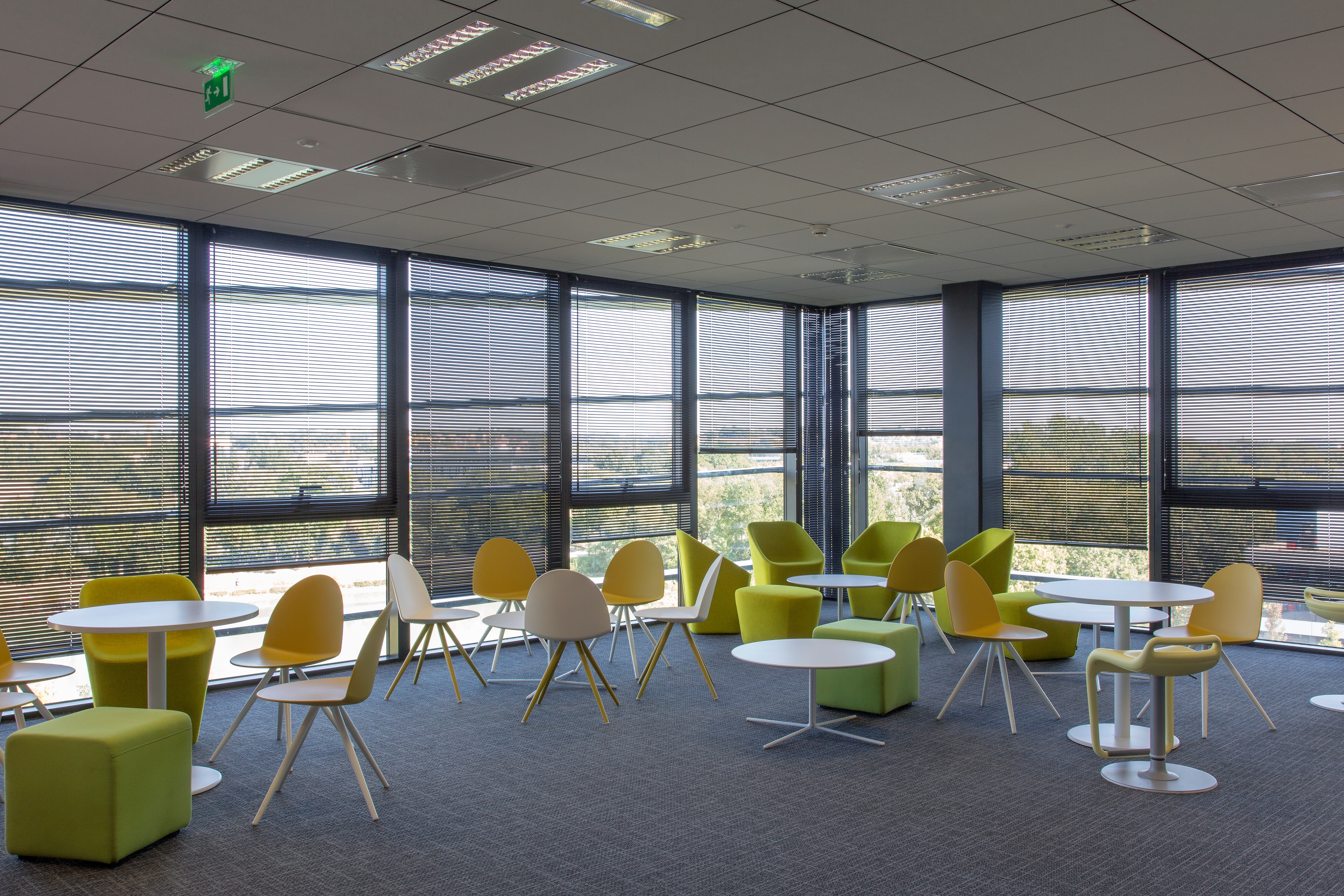 Aluminum Venetian Blinds in Thales Buildings