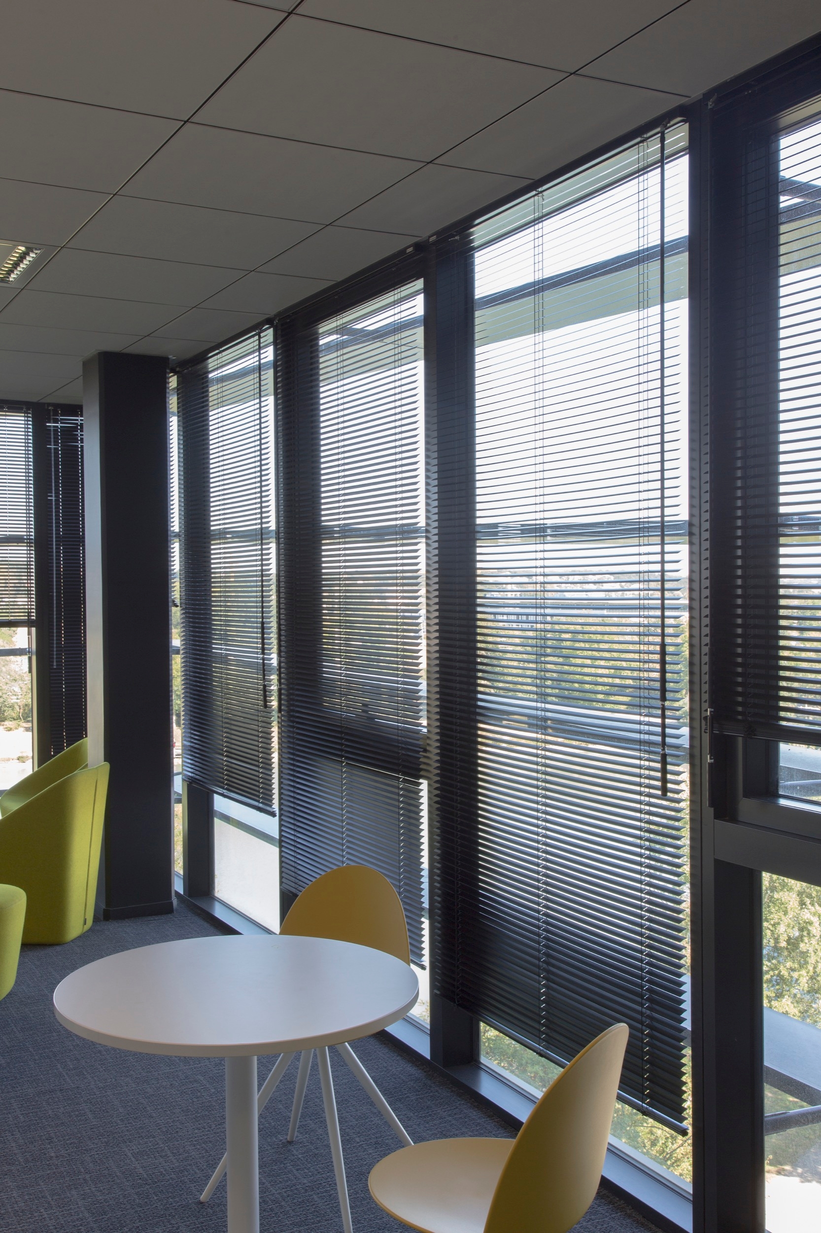 Aluminum Venetian Blinds in Thales Buildings