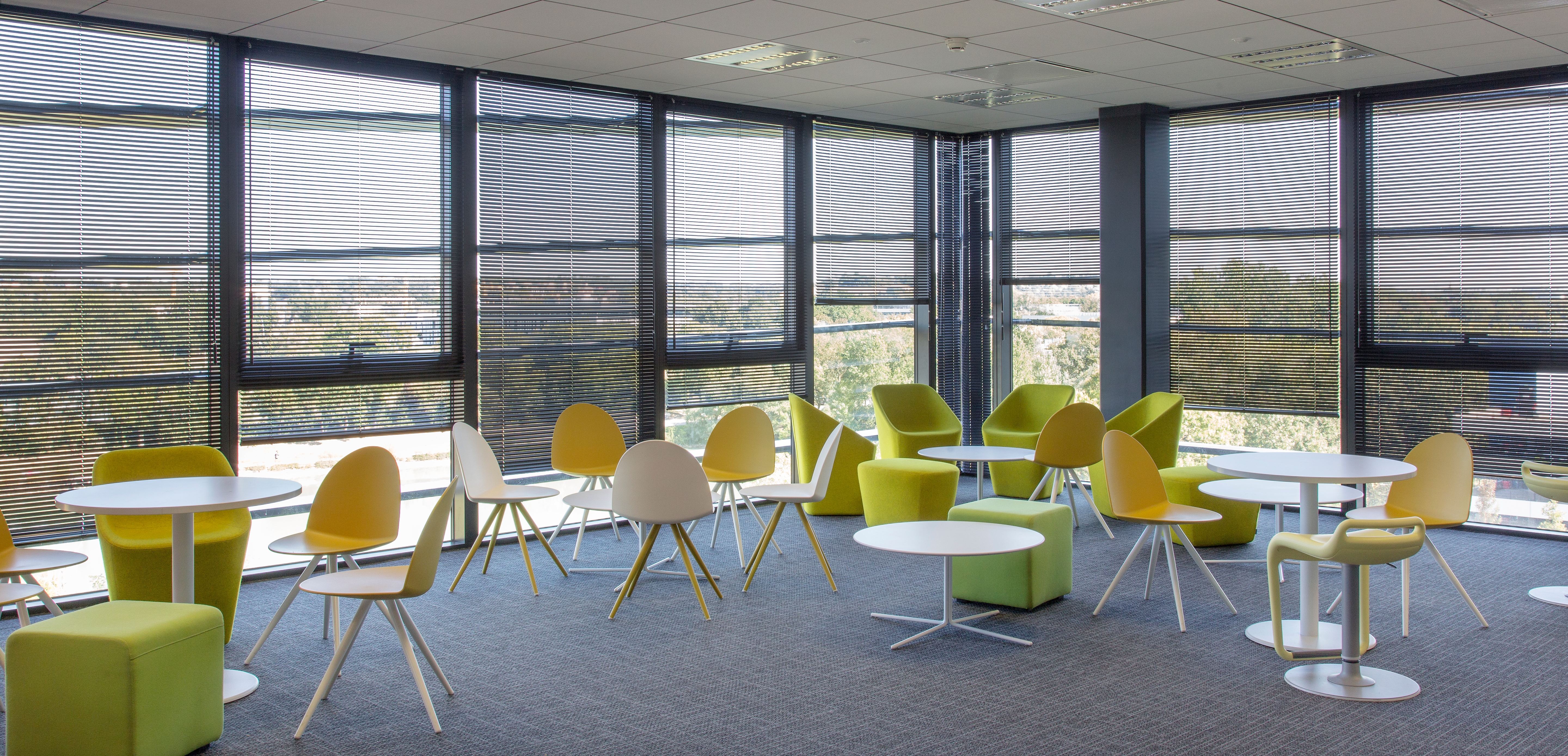 Aluminum Venetian Blinds in Thales Buildings