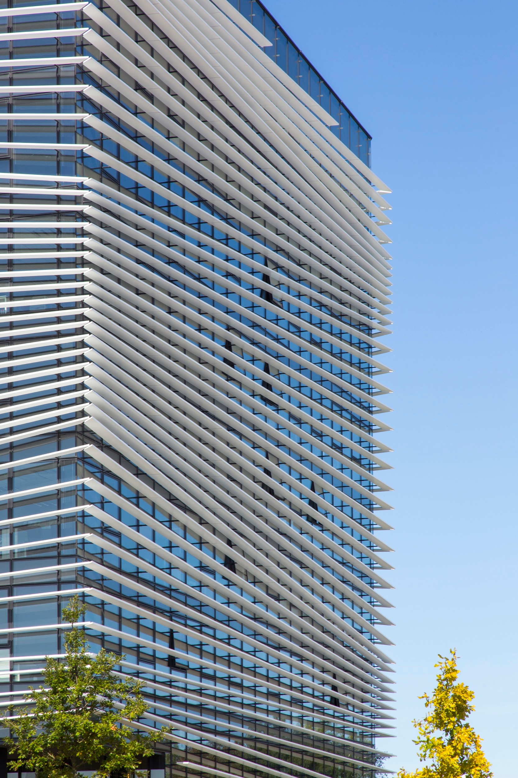 Aluminum Venetian Blinds in Thales Buildings