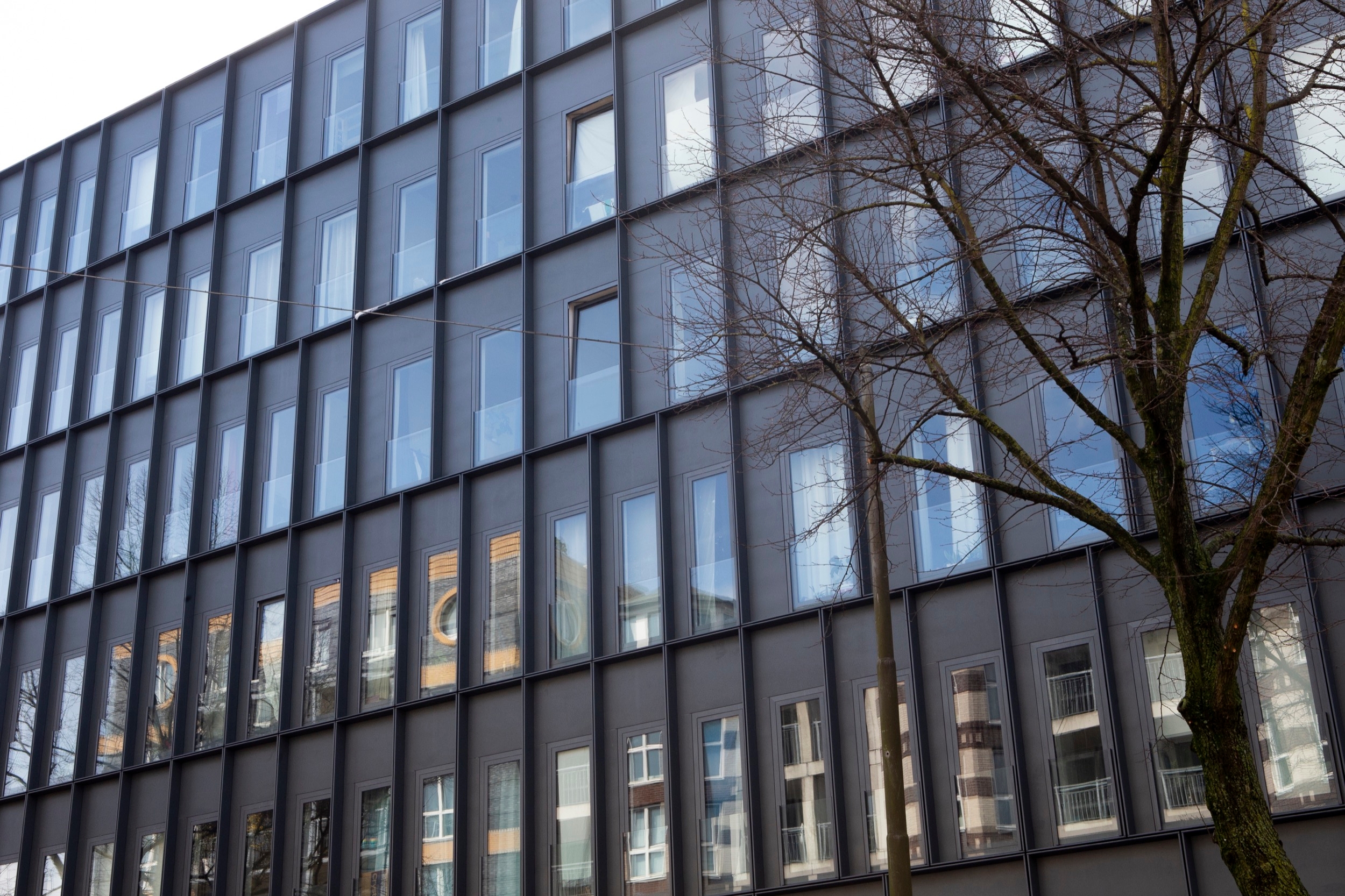 Roller Shades in DC Van Hall Building