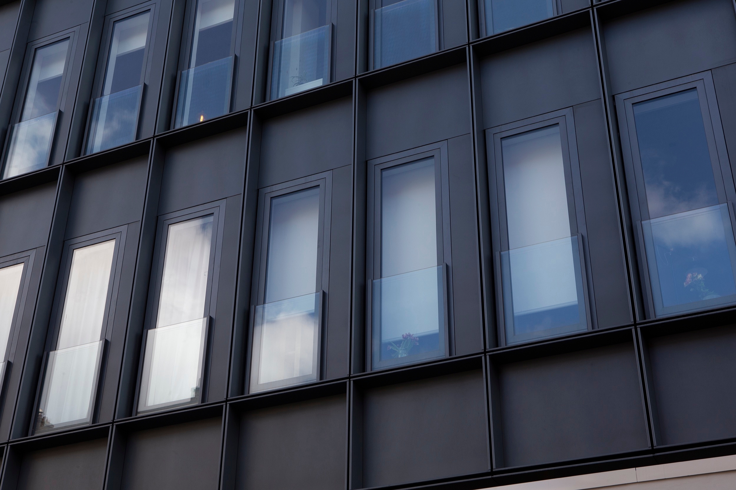 Roller Shades in DC Van Hall Building