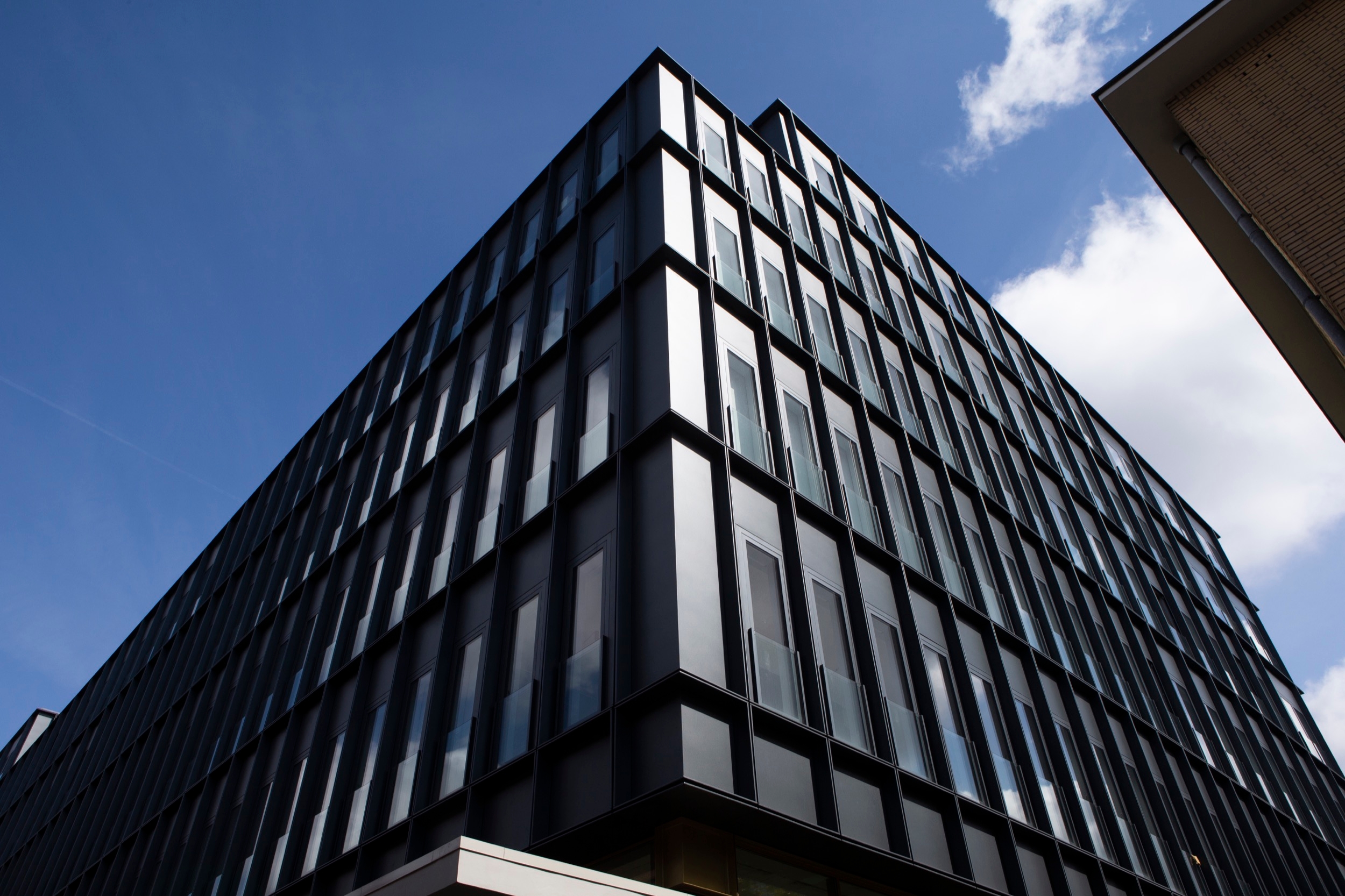 Roller Shades in DC Van Hall Building