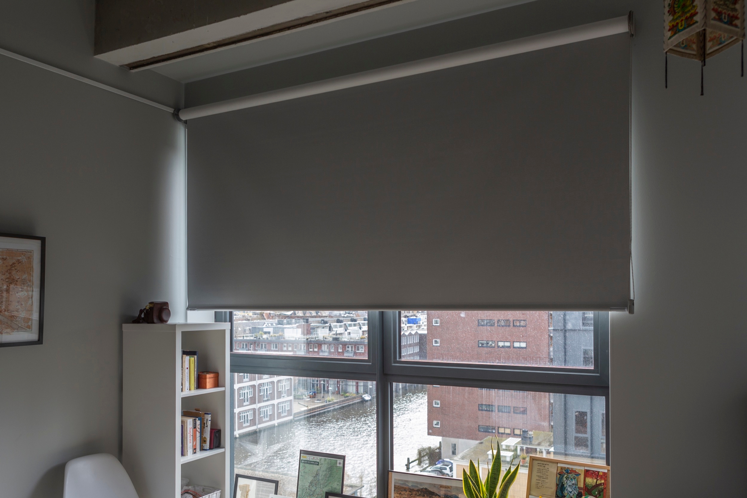 Roller Shades in DC Van Hall Building